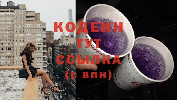 трава Кодинск