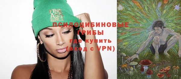 герыч Козельск