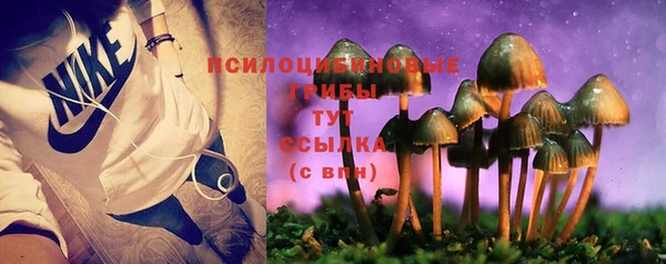 трава Кодинск