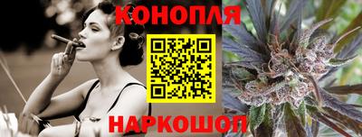 индика Бийск