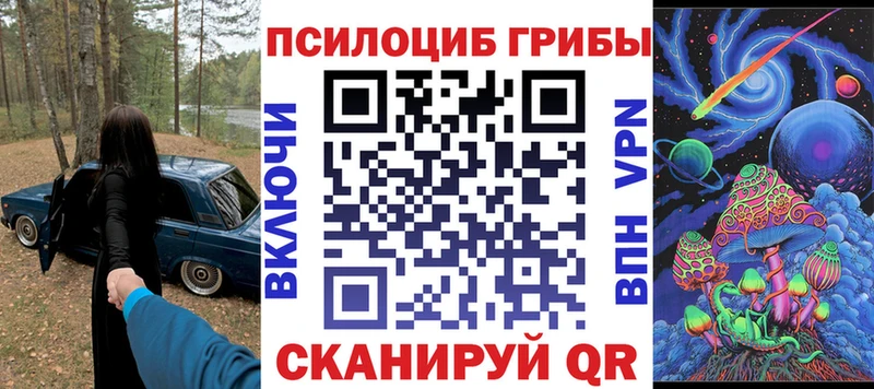 где купить   Майский  Псилоцибиновые грибы Psilocybe 