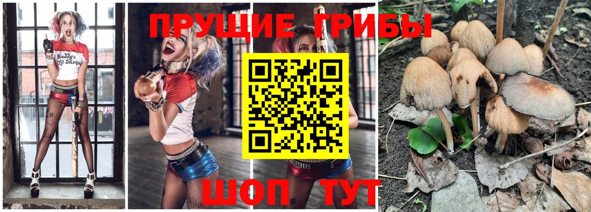 Галлюциногенные грибы MAGIC MUSHROOMS  Вход с VPN  Майский  Псилоцибиновые грибы MAGIC MUSHROOMS 